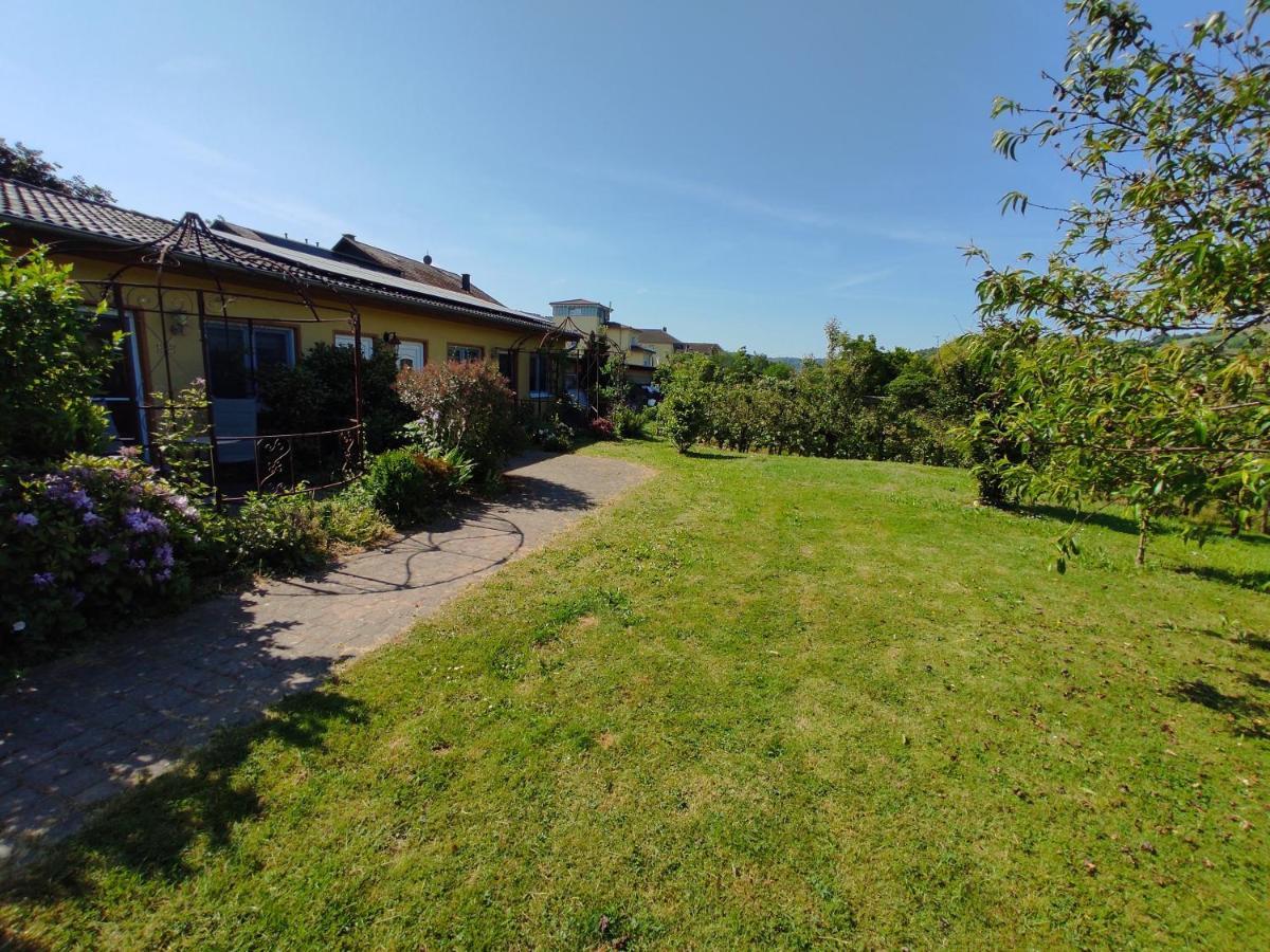 Moselferienweingut Schaefer Apartment Wintrich Exterior photo