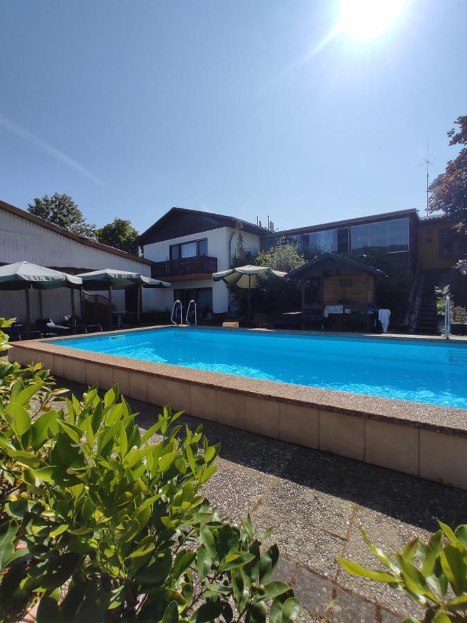 Moselferienweingut Schaefer Apartment Wintrich Exterior photo